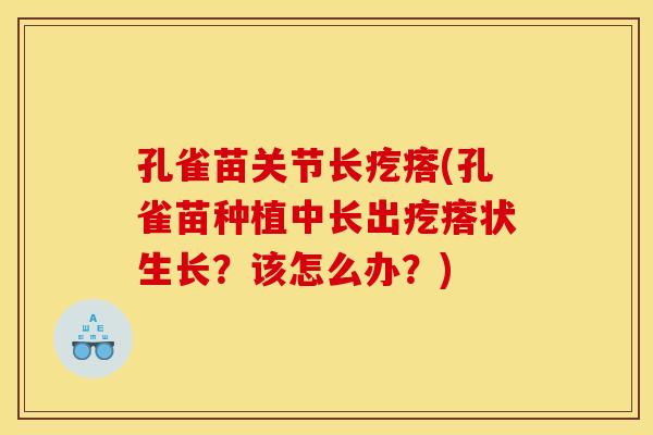 孔雀苗关节长疙瘩(孔雀苗种植中长出疙瘩状生长？该怎么办？)