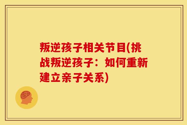 叛逆孩子相关节目(挑战叛逆孩子：如何重新建立亲子关系)