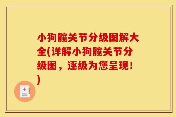小狗髋关节分级图解大全(详解小狗髋关节分级图，逐级为您呈现！)