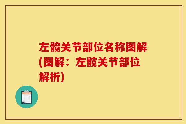 左髋关节部位名称图解(图解：左髋关节部位解析)