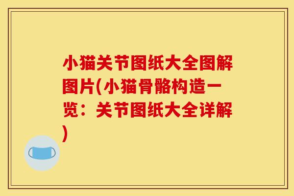 小猫关节图纸大全图解图片(小猫骨骼构造一览：关节图纸大全详解)