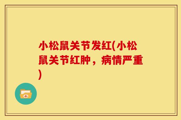 小松鼠关节发红(小松鼠关节红肿，病情严重)
