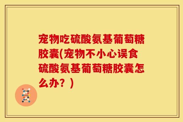 宠物吃硫酸氨基葡萄糖胶囊(宠物不小心误食硫酸氨基葡萄糖胶囊怎么办？)