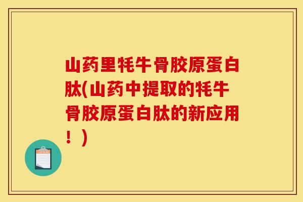 山药里牦牛骨胶原蛋白肽(山药中提取的牦牛骨胶原蛋白肽的新应用！)