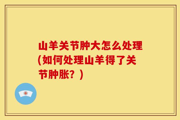 山羊关节肿大怎么处理(如何处理山羊得了关节肿胀？)