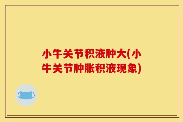 小牛关节积液肿大(小牛关节肿胀积液现象)