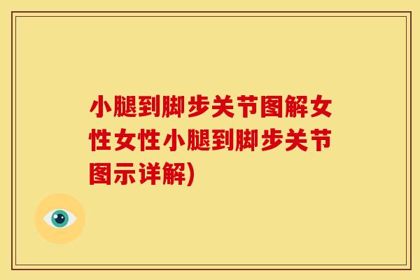 小腿到脚步关节图解女性女性小腿到脚步关节图示详解)