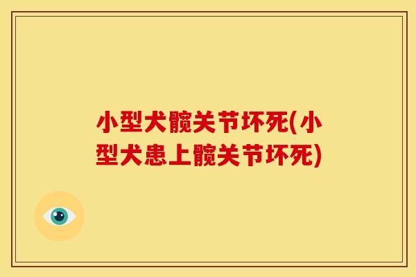 小型犬髋关节坏死(小型犬患上髋关节坏死)