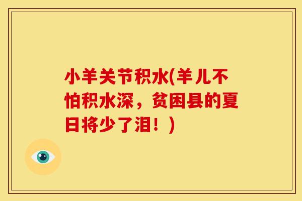 小羊关节积水(羊儿不怕积水深，贫困县的夏日将少了泪！)