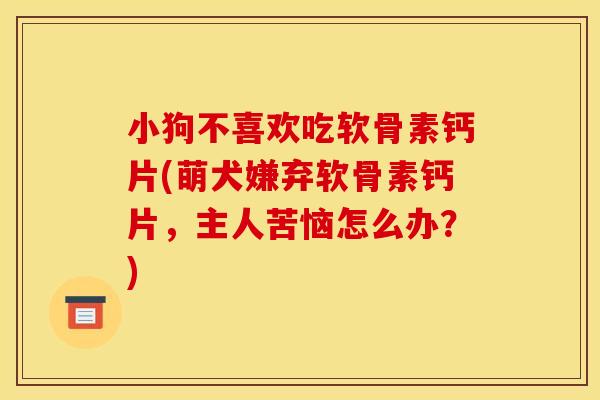 小狗不喜欢吃软骨素钙片(萌犬嫌弃软骨素钙片，主人苦恼怎么办？)