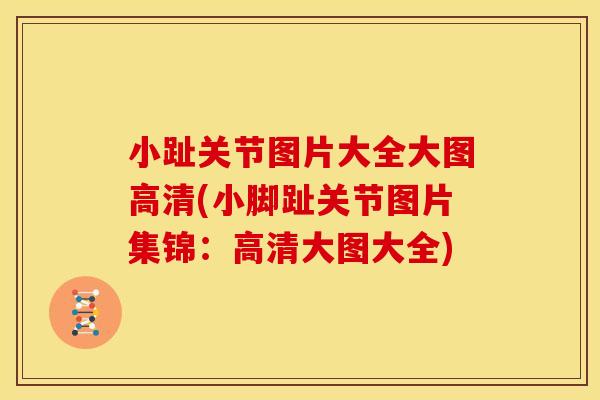 小趾关节图片大全大图高清(小脚趾关节图片集锦：高清大图大全)