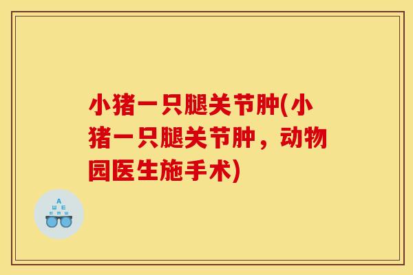 小猪一只腿关节肿(小猪一只腿关节肿，动物园医生施手术)