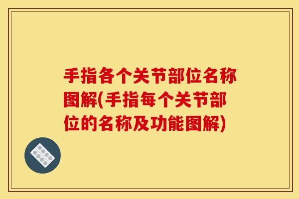 手指各个关节部位名称图解(手指每个关节部位的名称及功能图解)