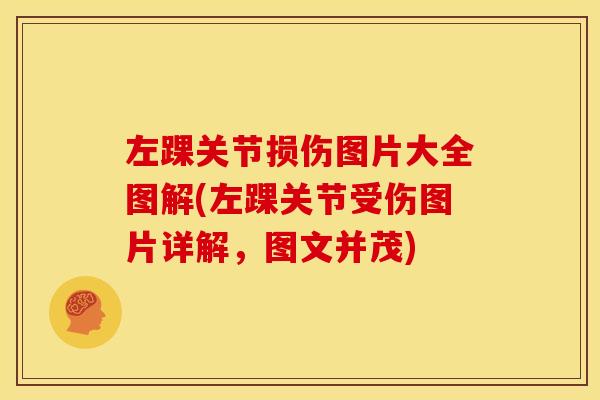 左踝关节损伤图片大全图解(左踝关节受伤图片详解，图文并茂)