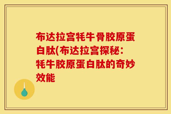 布达拉宫牦牛骨胶原蛋白肽(布达拉宫探秘：牦牛胶原蛋白肽的奇妙效能