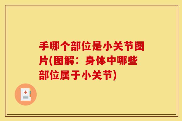 手哪个部位是小关节图片(图解：身体中哪些部位属于小关节)
