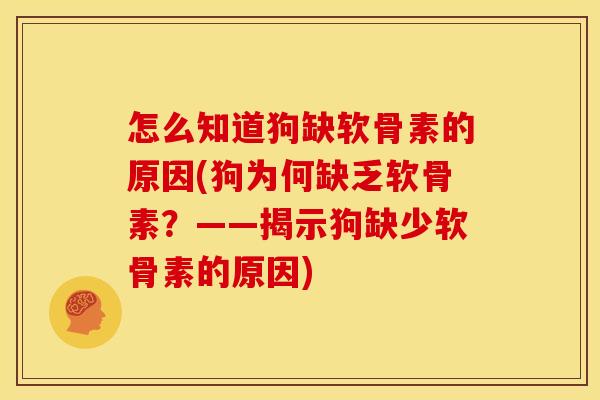 怎么知道狗缺软骨素的原因(狗为何缺乏软骨素？——揭示狗缺少软骨素的原因)