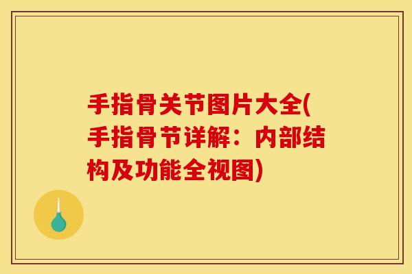 手指骨关节图片大全(手指骨节详解：内部结构及功能全视图)