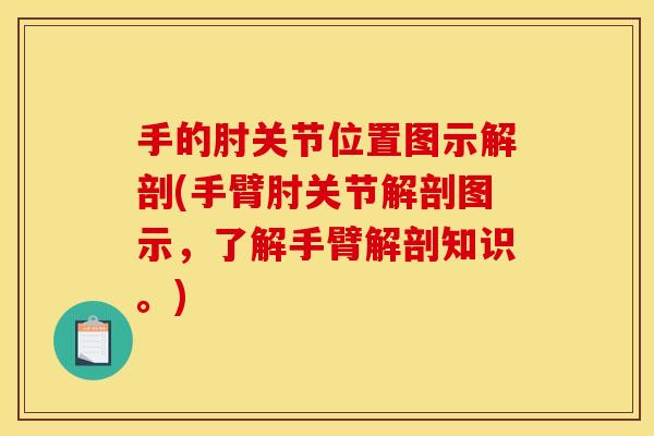 手的肘关节位置图示解剖(手臂肘关节解剖图示，了解手臂解剖知识。)