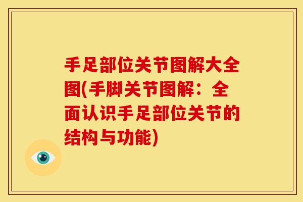 手足部位关节图解大全图(手脚关节图解：全面认识手足部位关节的结构与功能)