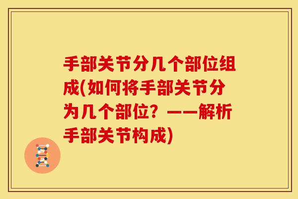 手部关节分几个部位组成(如何将手部关节分为几个部位？——解析手部关节构成)