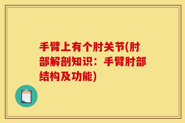 手臂上有个肘关节(肘部解剖知识：手臂肘部结构及功能)