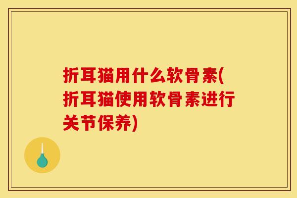 折耳猫用什么软骨素(折耳猫使用软骨素进行关节保养)