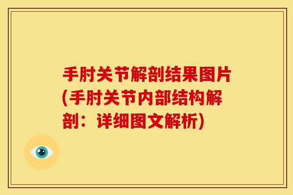 手肘关节解剖结果图片(手肘关节内部结构解剖：详细图文解析)