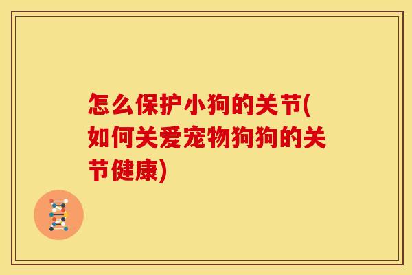 怎么保护小狗的关节(如何关爱宠物狗狗的关节健康)