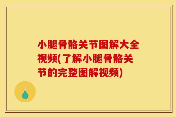小腿骨骼关节图解大全视频(了解小腿骨骼关节的完整图解视频)