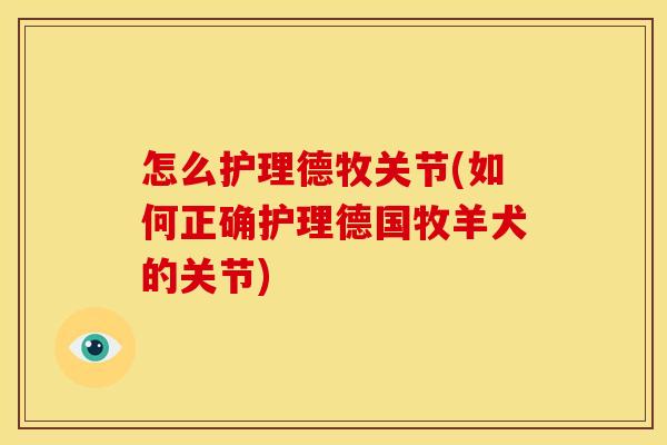 怎么护理德牧关节(如何正确护理德国牧羊犬的关节)
