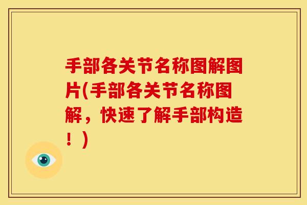 手部各关节名称图解图片(手部各关节名称图解,快速了解手部构造!)