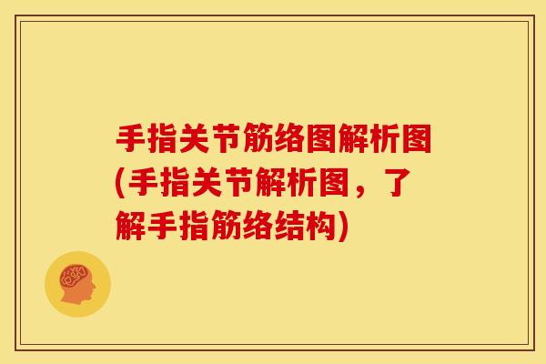 手指关节筋络图解析图(手指关节解析图，了解手指筋络结构)