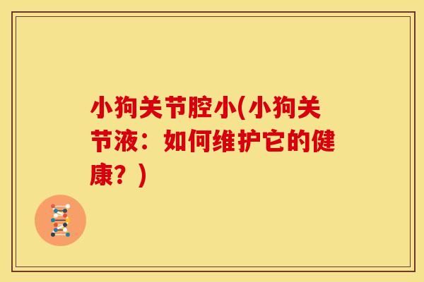 小狗关节腔小(小狗关节液：如何维护它的健康？)