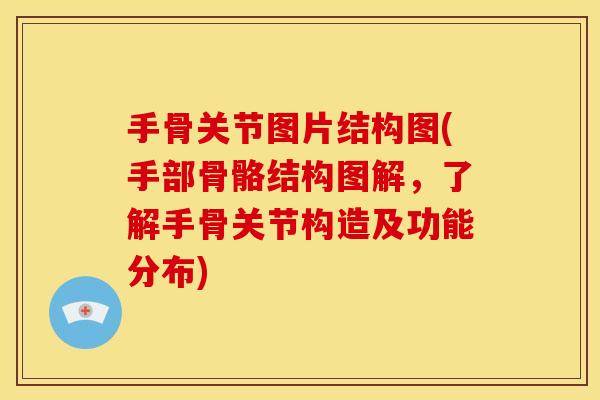 手骨关节图片结构图(手部骨骼结构图解，了解手骨关节构造及功能分布)