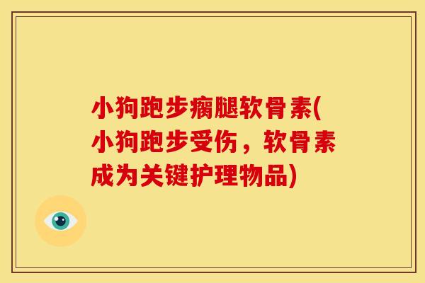 小狗跑步瘸腿软骨素(小狗跑步受伤，软骨素成为关键护理物品)