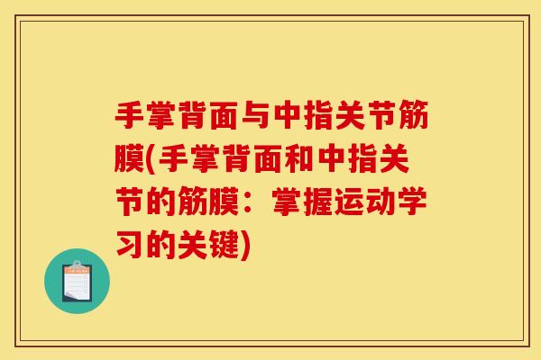 手掌背面与中指关节筋膜(手掌背面和中指关节的筋膜：掌握运动学习的关键)