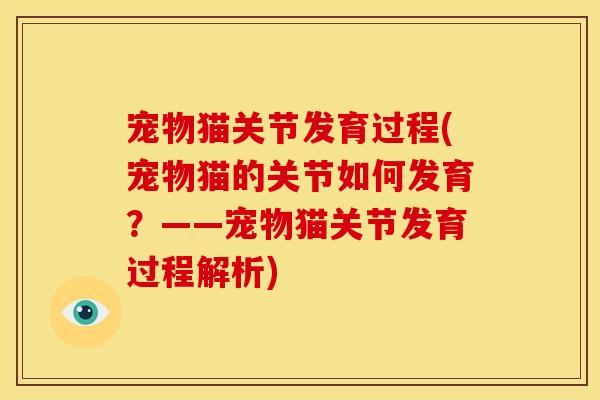 宠物猫关节发育过程(宠物猫的关节如何发育？——宠物猫关节发育过程解析)