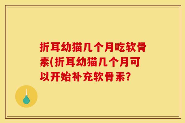 折耳幼猫几个月吃软骨素(折耳幼猫几个月可以开始补充软骨素？