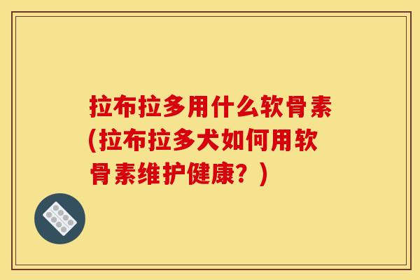 拉布拉多用什么软骨素(拉布拉多犬如何用软骨素维护健康？)