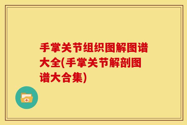 手掌关节组织图解图谱大全(手掌关节解剖图谱大合集)
