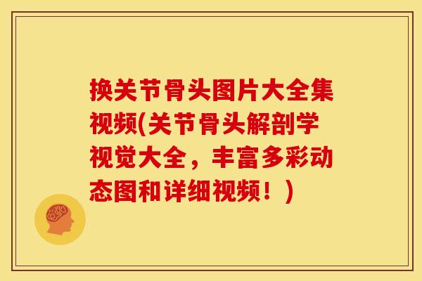 换关节骨头图片大全集视频(关节骨头解剖学视觉大全，丰富多彩动态图和详细视频！)