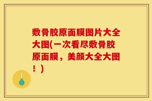 敷骨胶原面膜图片大全大图(一次看尽敷骨胶原面膜，美颜大全大图！)