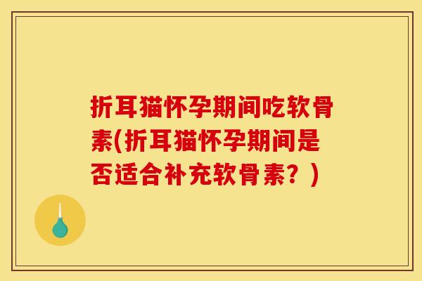 折耳猫怀孕期间吃软骨素(折耳猫怀孕期间是否适合补充软骨素？)