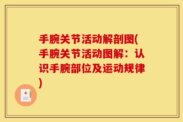 手腕关节活动解剖图(手腕关节活动图解：认识手腕部位及运动规律)