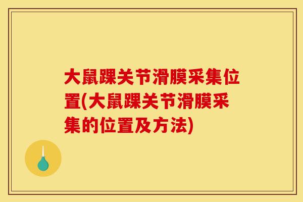 大鼠踝关节滑膜采集位置(大鼠踝关节滑膜采集的位置及方法)