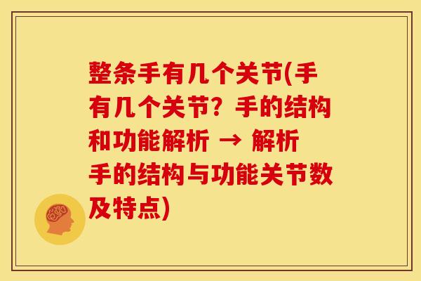 整条手有几个关节(手有几个关节？手的结构和功能解析 → 解析手的结构与功能关节数及特点)
