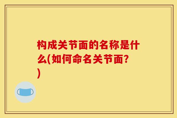 构成关节面的名称是什么(如何命名关节面？)