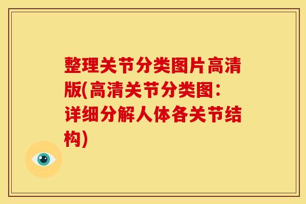 整理关节分类图片高清版(高清关节分类图：详细分解人体各关节结构)
