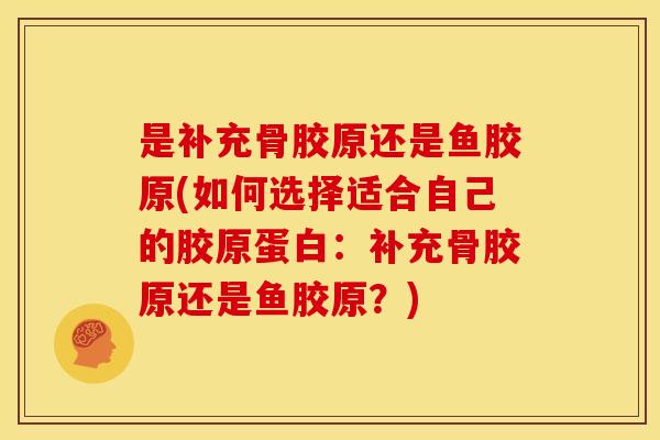 是补充骨胶原还是鱼胶原(如何选择适合自己的胶原蛋白：补充骨胶原还是鱼胶原？)
